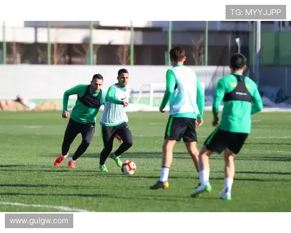 北京羽毛球队耐力对比深度解析及训练策略探讨